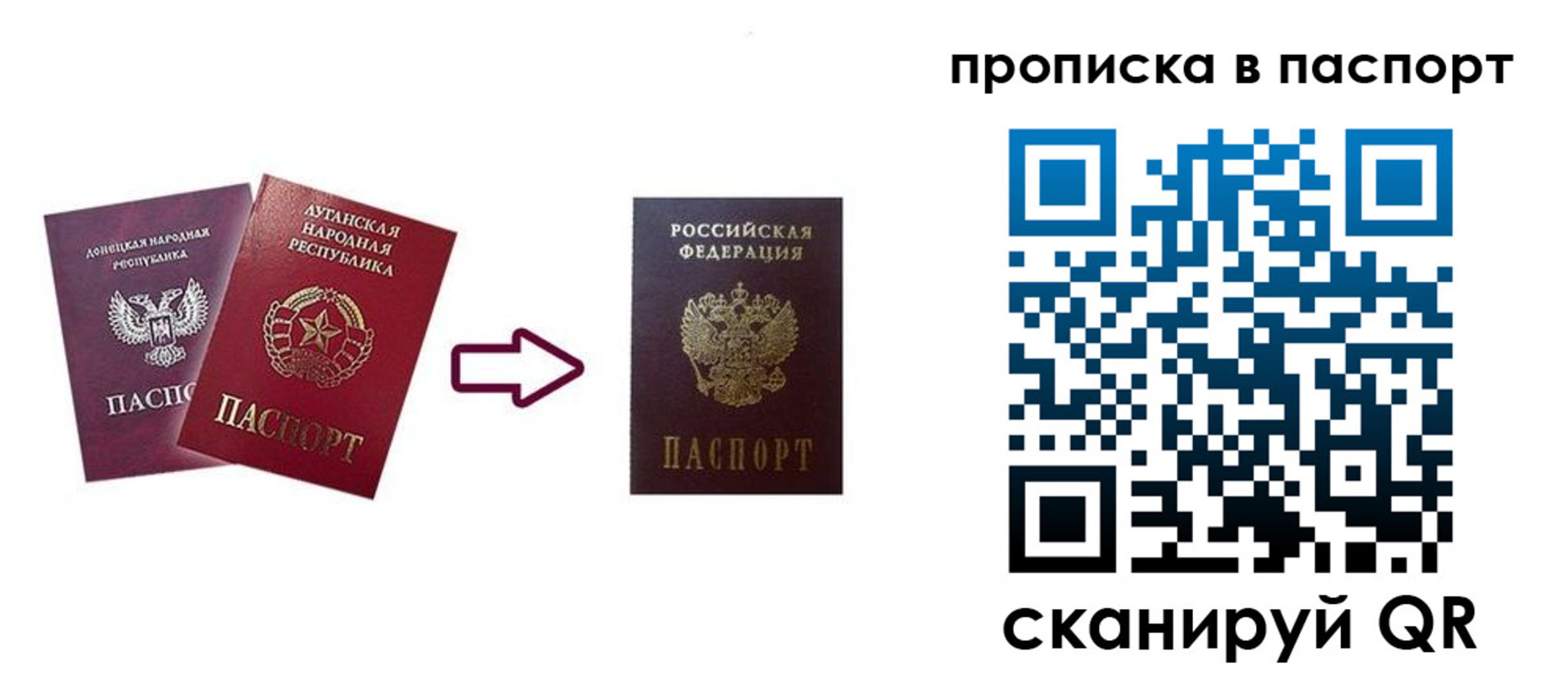прописка иностранных граждан в Светлом